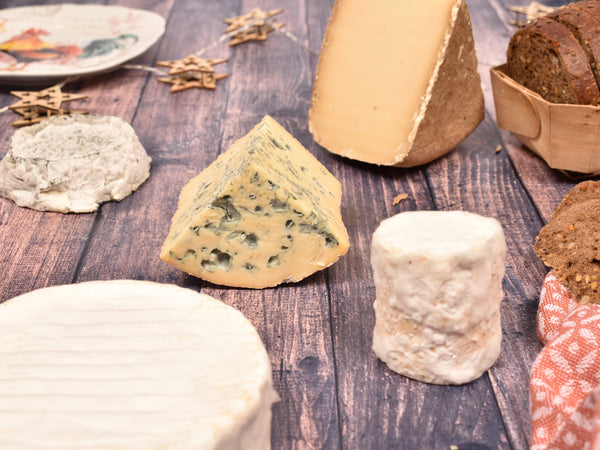 Ensemble pour faire on fromage (6 fromages artisanaux possibles)