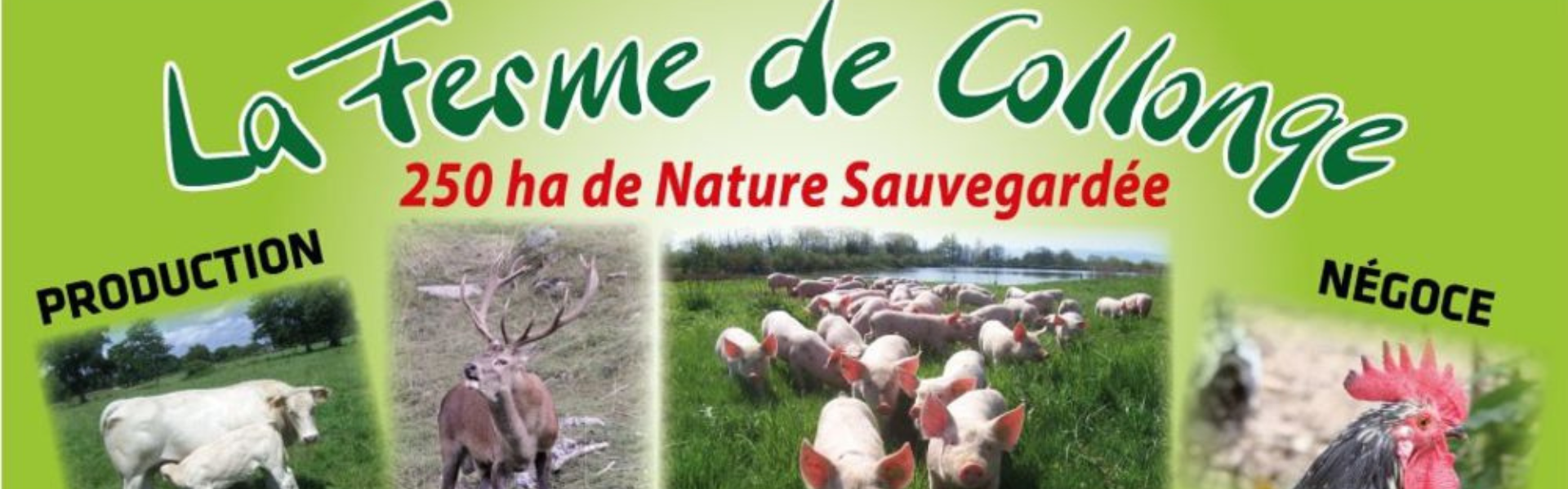 La Ferme de Collonge