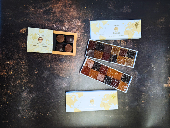 Coffret 24 pâtes de fruit et 4 chocolats pralinés