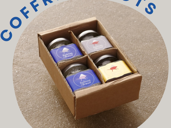 Coffret de Noël Fleur de sel et sel aromatisé