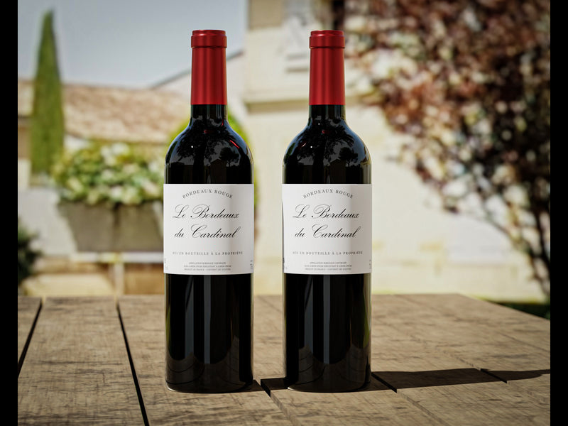 Offrir un coffret vin rouge Bordeaux avec 2 bouteilles de Bordeaux