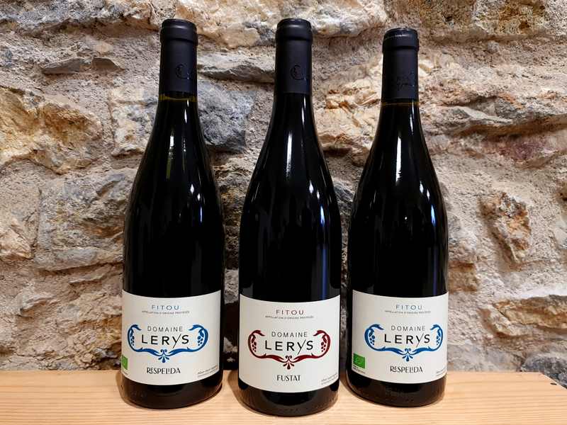 Coffret Cadeau Vins Rouges - Vins du Languedoc - Bio